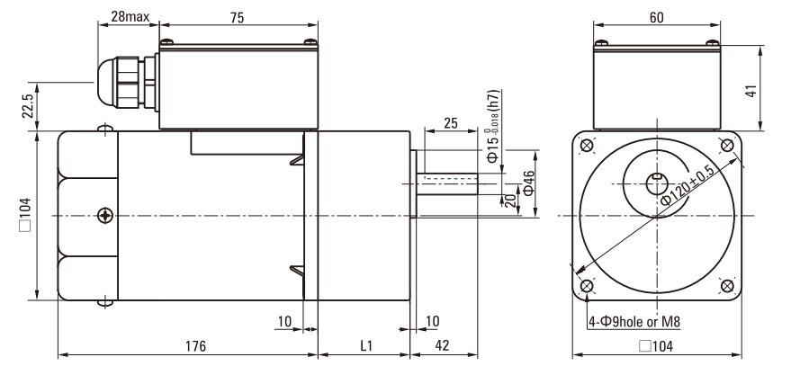 140W Induction AC Motor/Gear Motor drawing