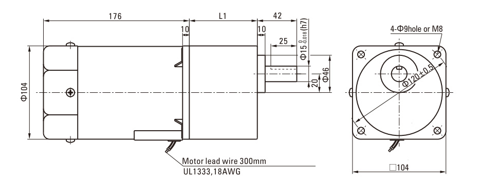 140W Induction AC Motor/Gear Motor drawing
