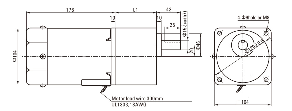 200W Induction AC Motor/Gear Motor drawing