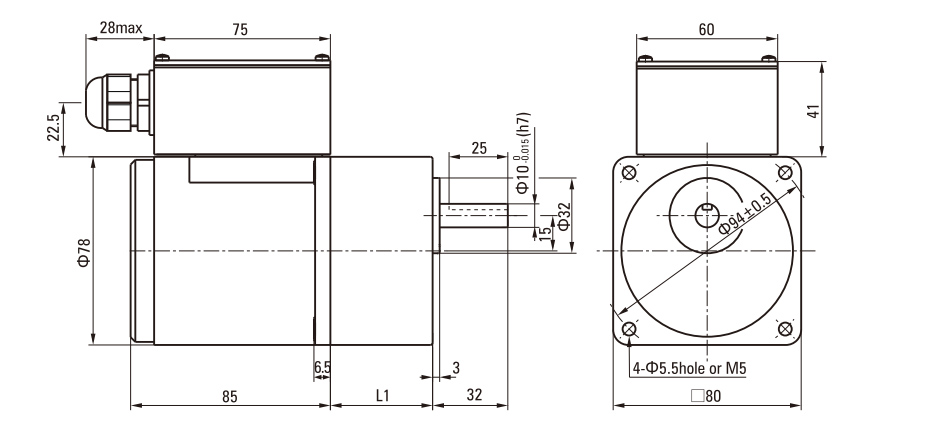 25W Induction AC Motor/Gear Motor drawing