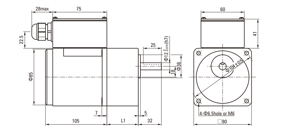 40W Induction AC Motor/Gear Motor drawing