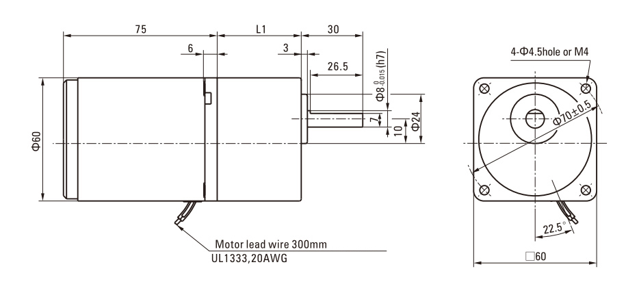 6W Induction AC Motor/Gear Motor drawing
