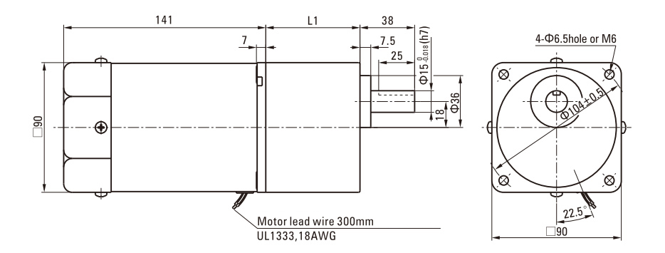 90W Induction AC Motor/Gear Motor drawing