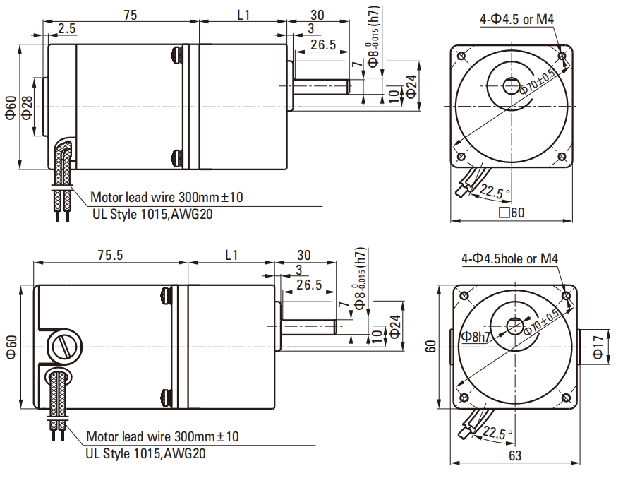 10W Brush DC Gear Motor drawing