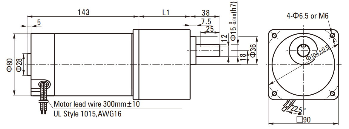 60W Brush DC Gear Motor drawing