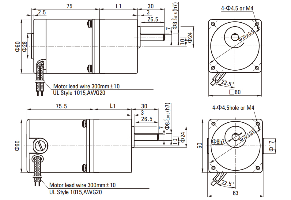 6W Brush DC Gear Motor drawing