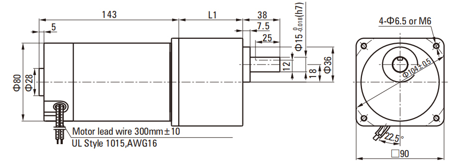90W Brush DC Gear Motor drawing